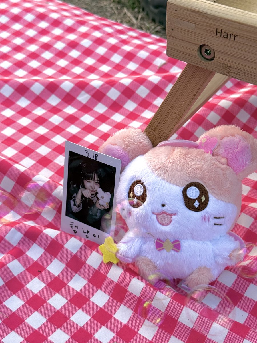 숭이🦩 tweet media