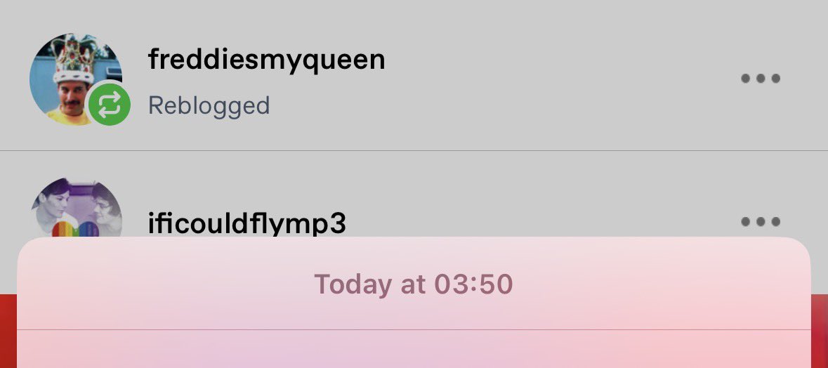 Freddieismyqueen es la verdadera guerrera de este fandom(iconica) aun después de todo lo que le hicieron las mierdosas, sigue en el fandom en 2026 y fue al show de Louis ✋🏻😭