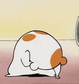 들에서 공차는 곰 tweet media