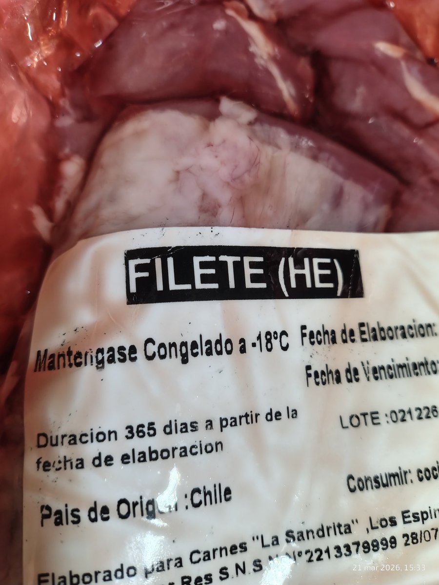 zurdo hasta los huesos! 🇨🇱🏳️‍🌈🇵🇸 tweet media