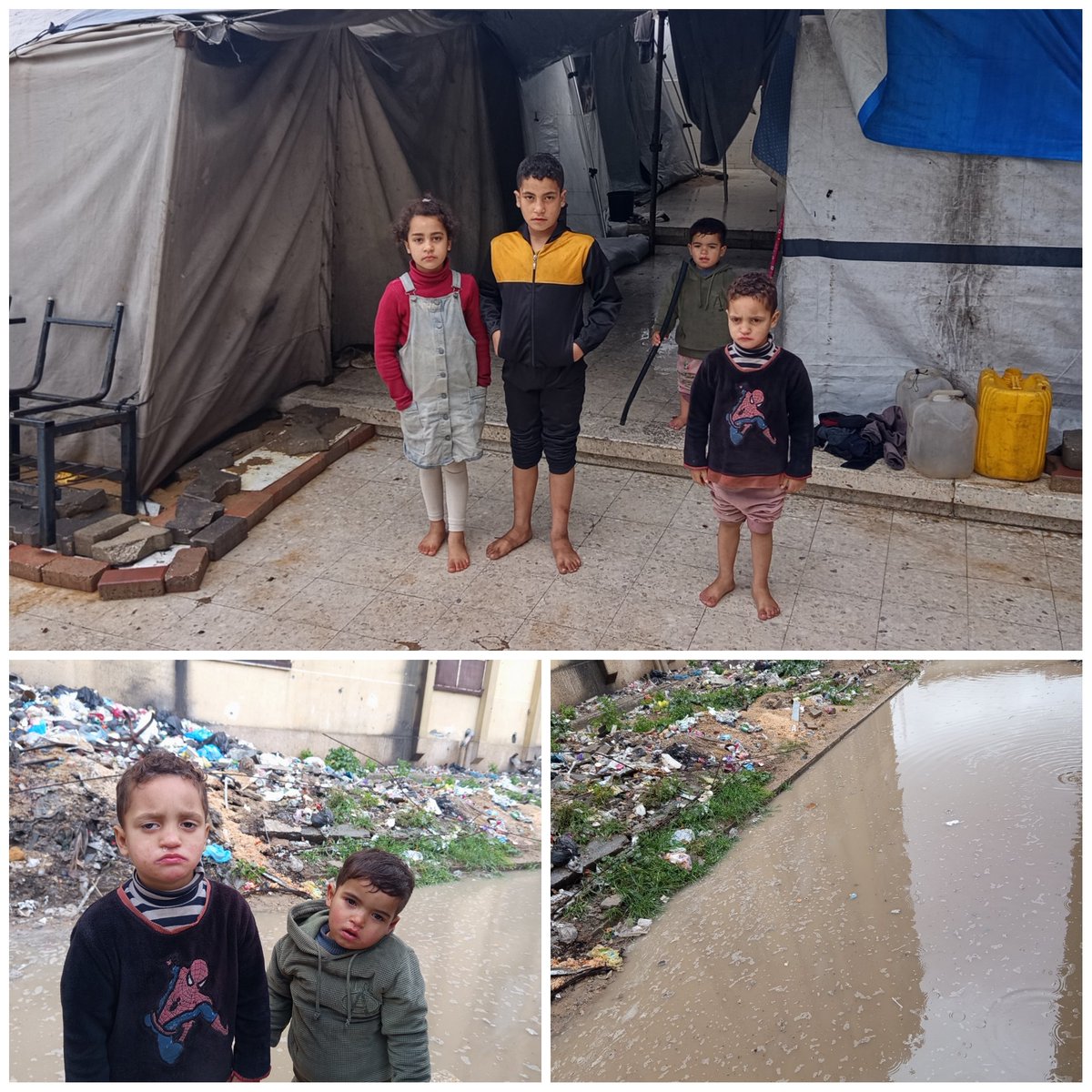 Tamer Gaza tweet media