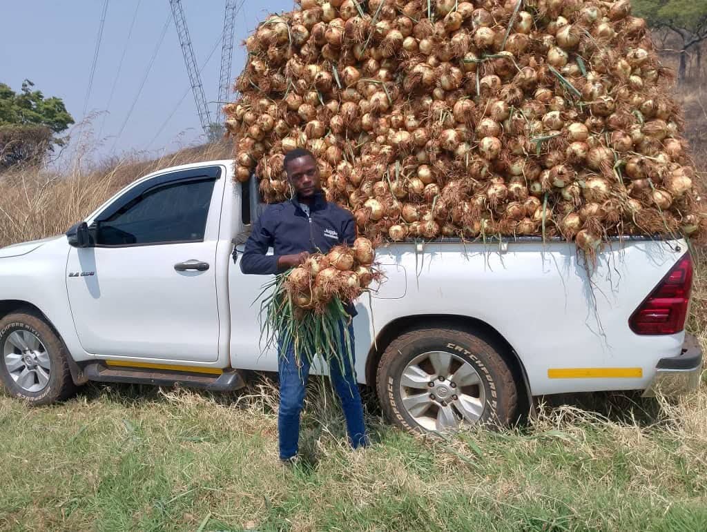 Divah Phiri tweet media