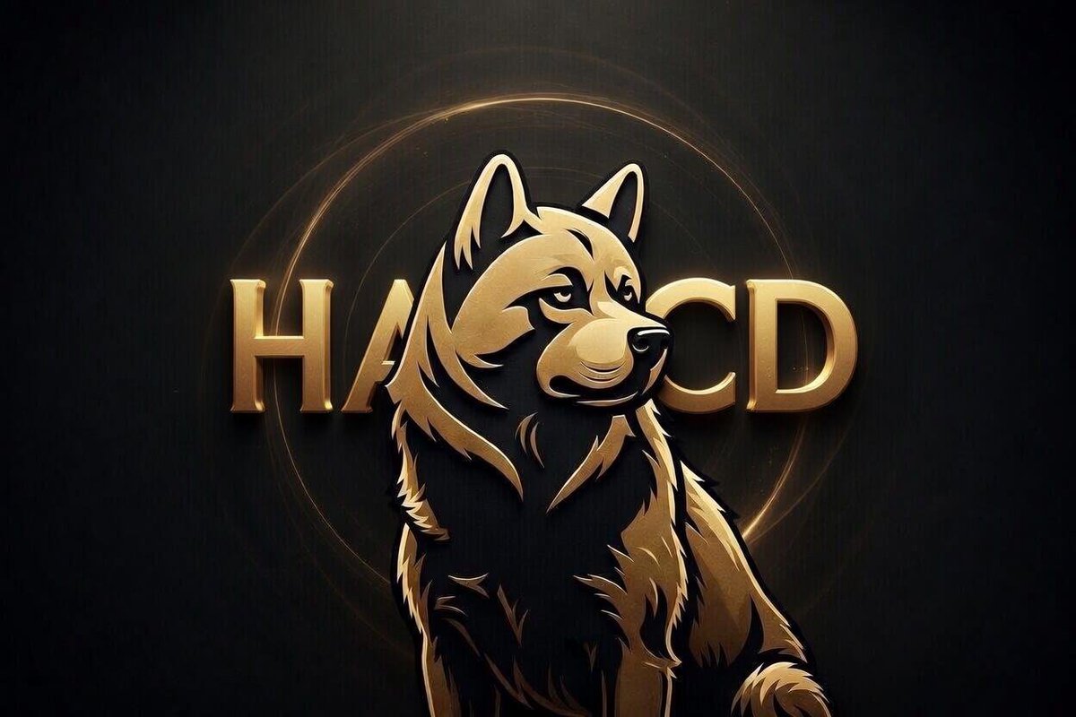 Why HACD?

Because Hachiko is not built around noise.

It is built around:
loyalty,
identity,
memory,
and durable form.

$HACD is where that logic makes sense.