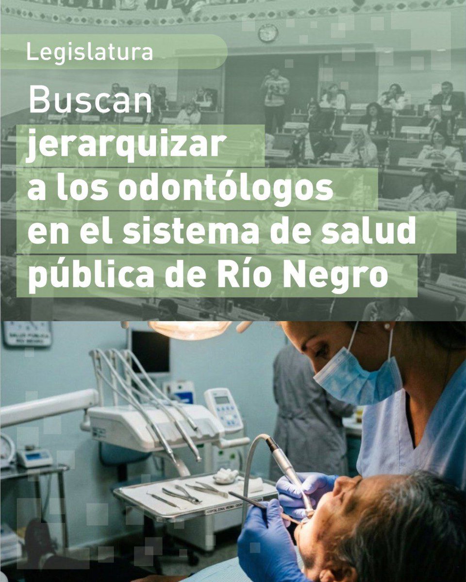 Legislatura de Río Negro tweet media