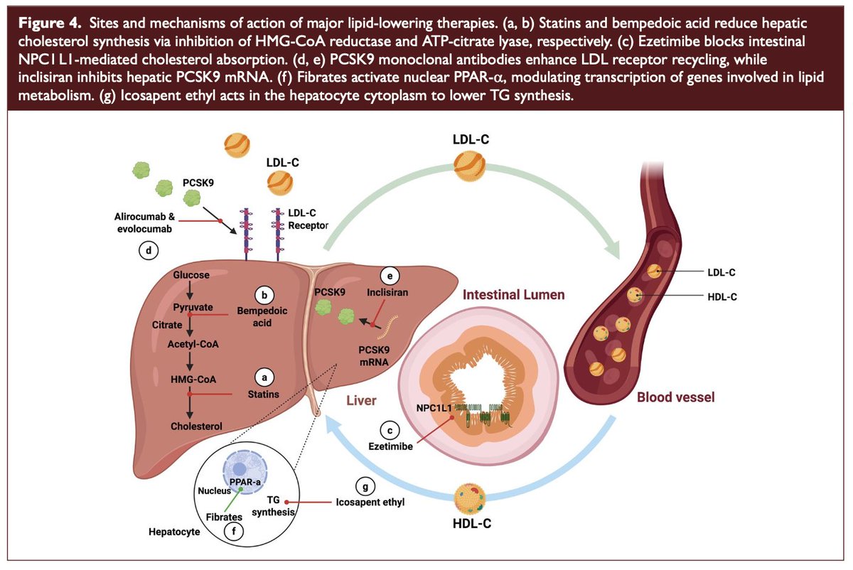 Umberto Pensato tweet media