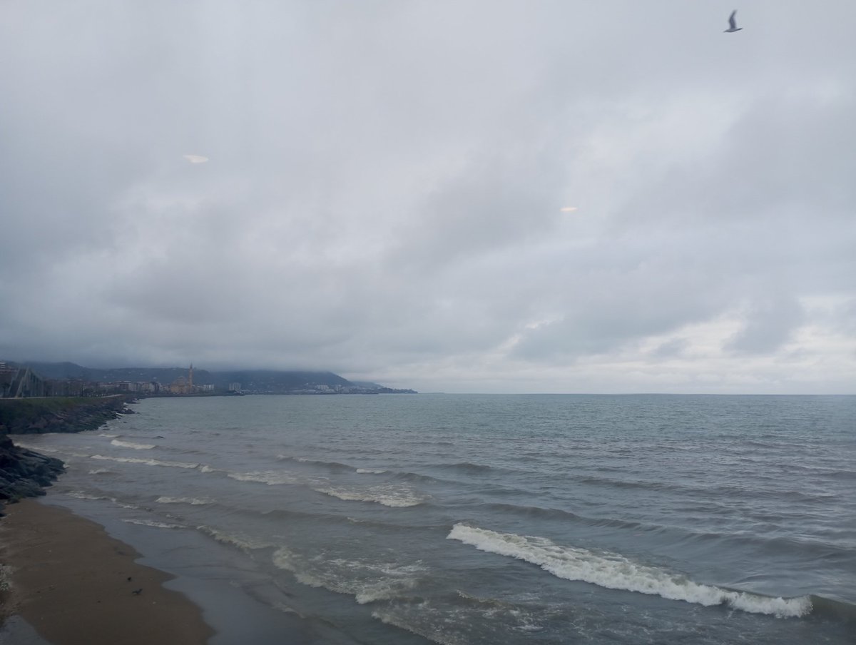 Doğan/KONAN🎗/ tweet media