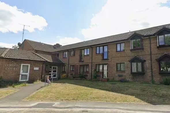 HJB News tweet media