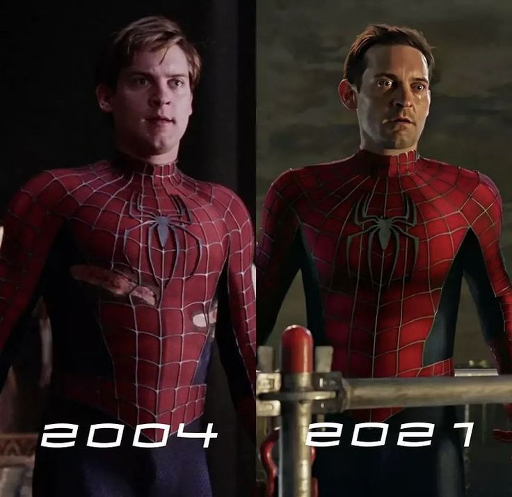 WALTER 🕷️🕸️ tweet media