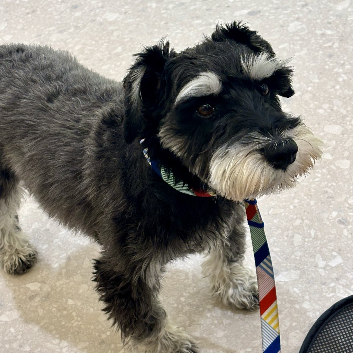 あきはる aki haru tweet media