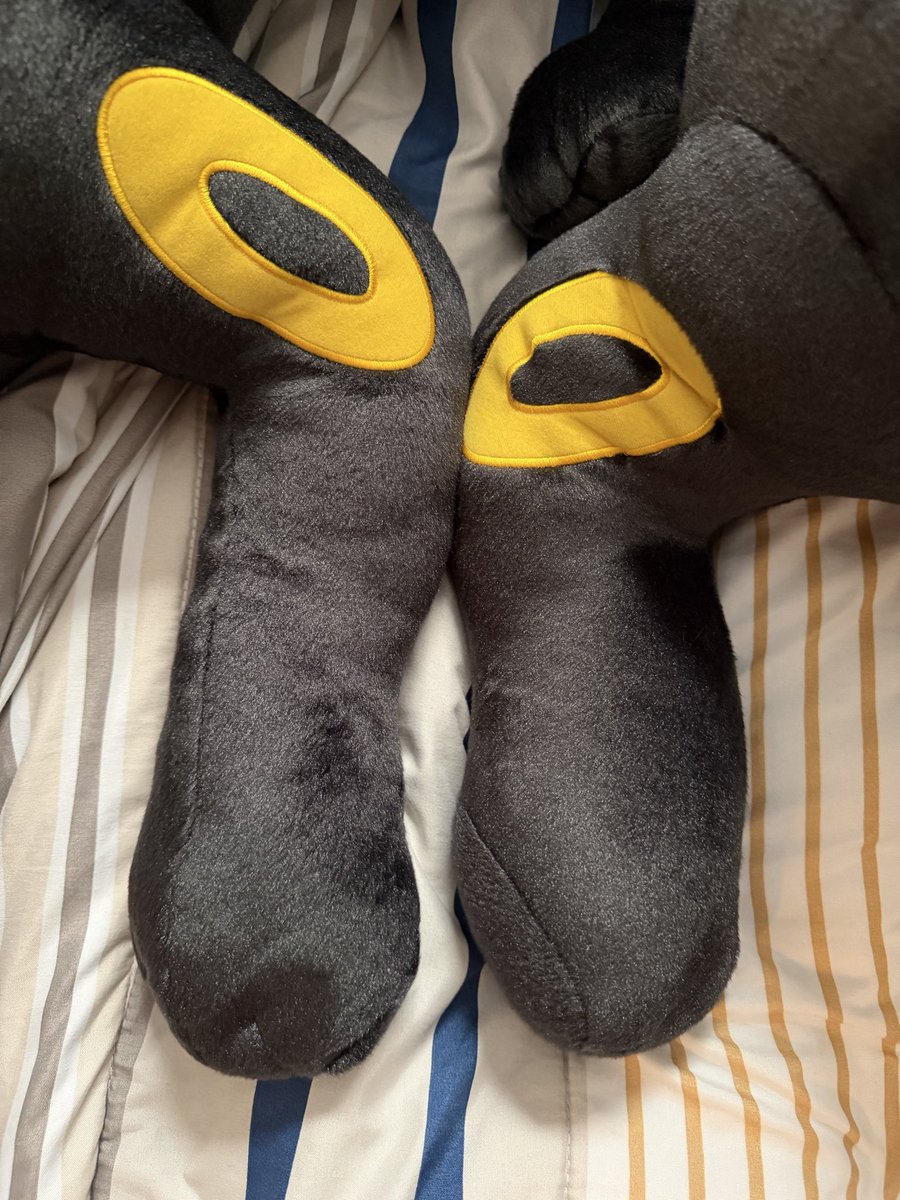 シンダリッテン tweet media