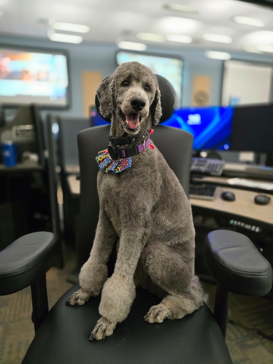 Oklahoma City Police tweet media