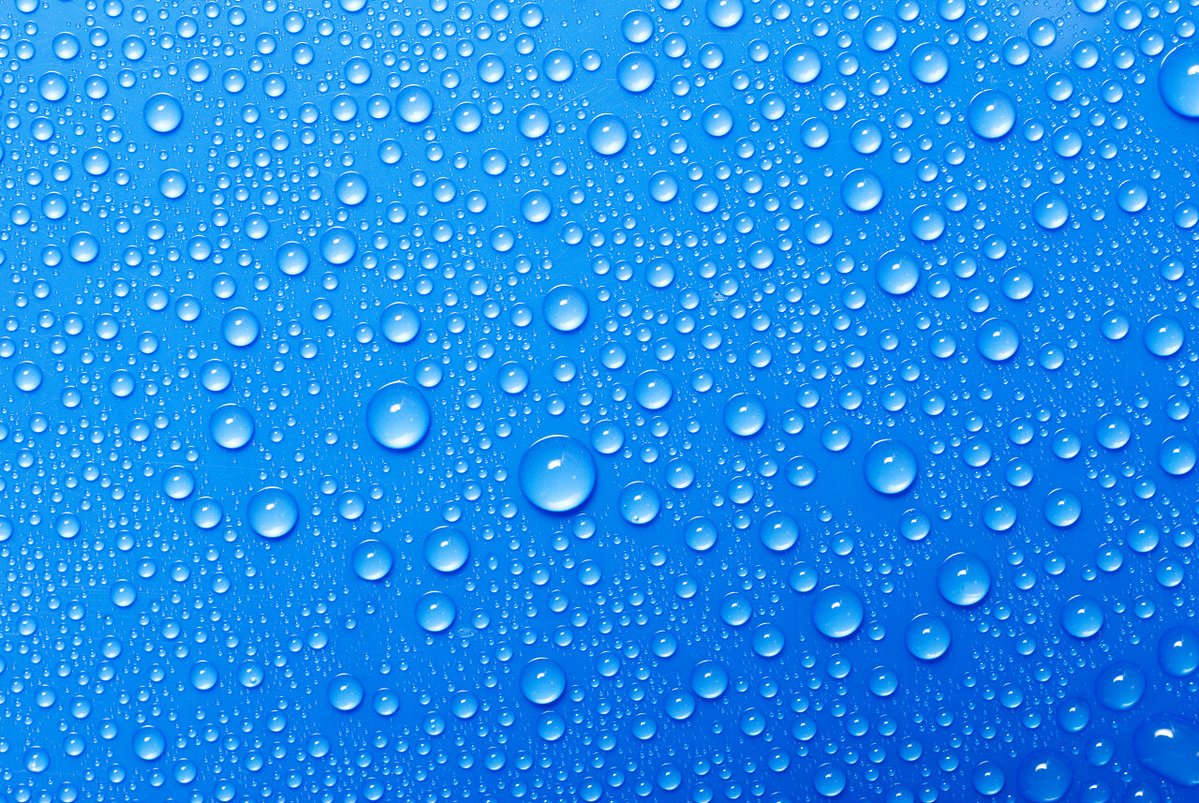 ParadiseLifeCheats tweet media