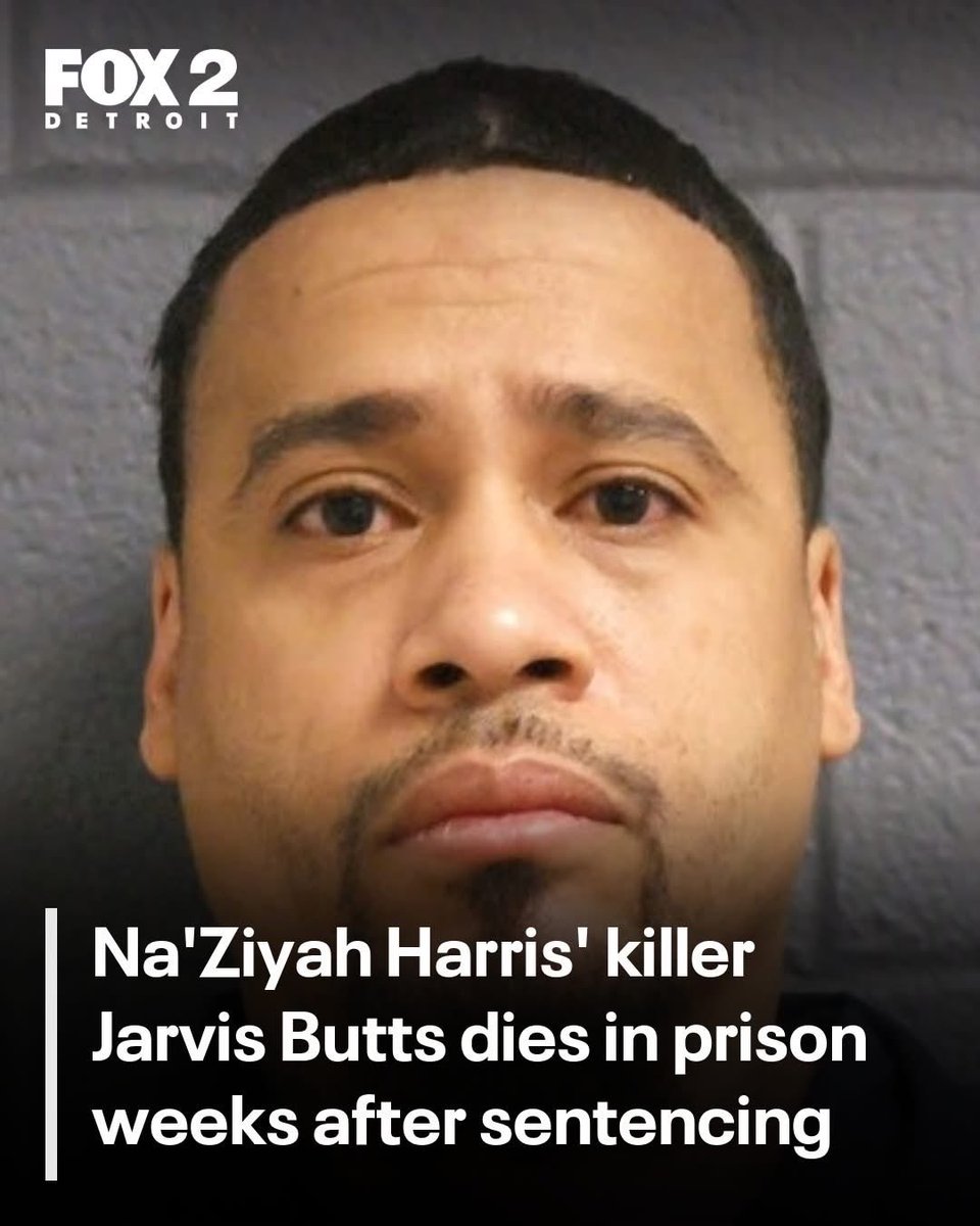 TSUNAMi _ PUNANI tweet media