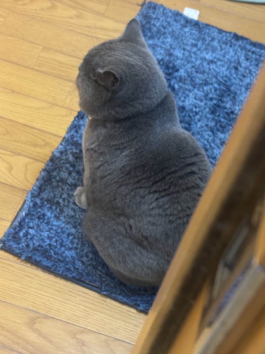 大岡🐉アンソロ制作中 tweet media