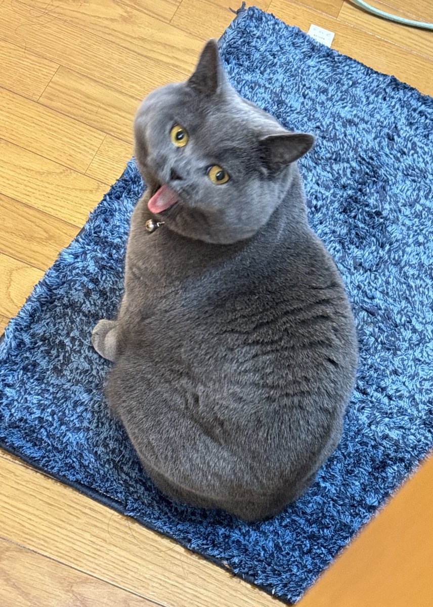 大岡🐉アンソロ制作中 tweet media