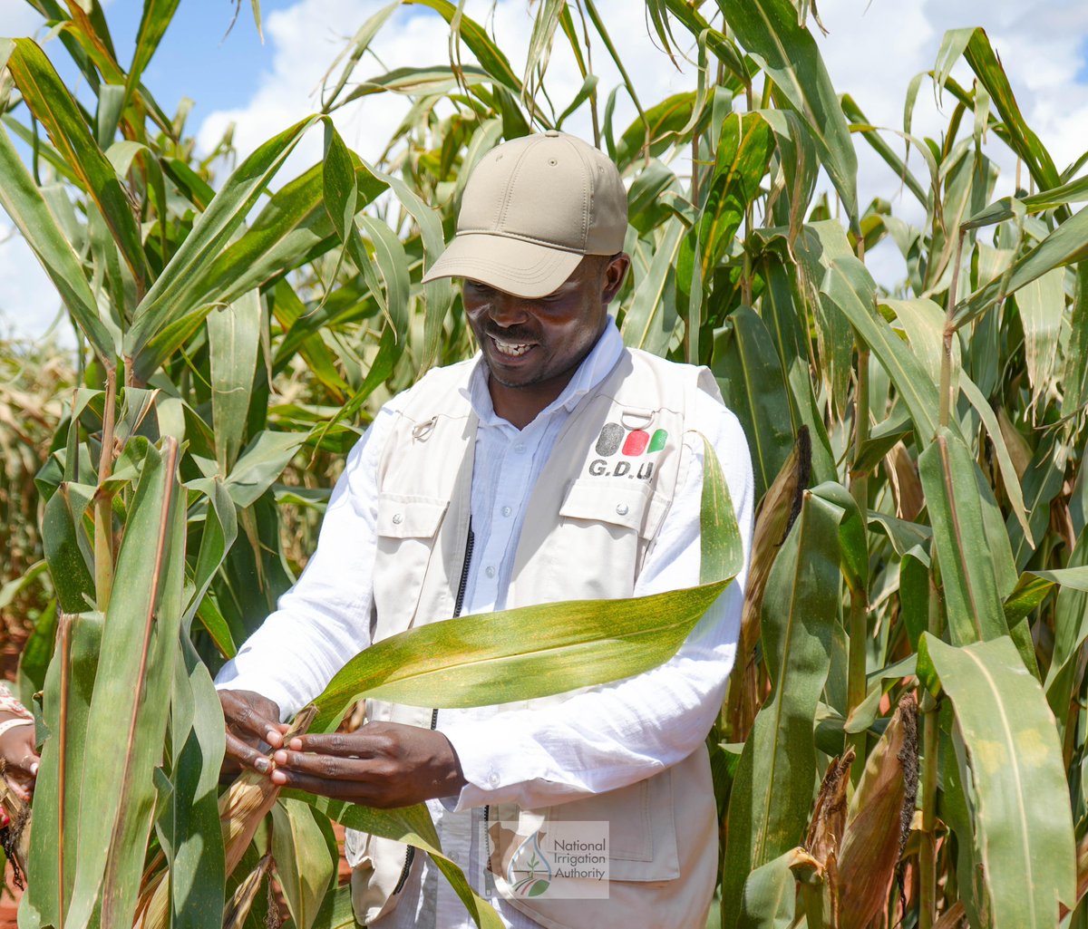 National Irrigation Authority tweet media