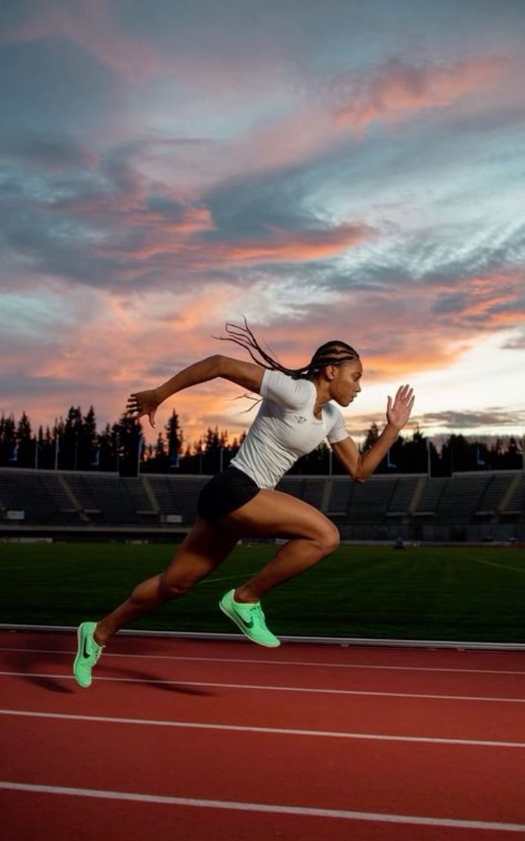 La Preskription tweet media