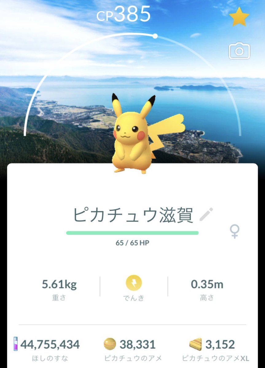 わらび tweet media