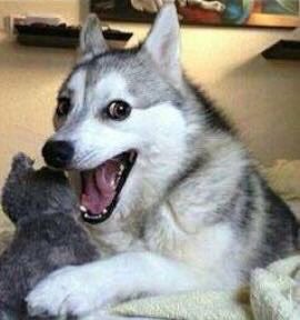 Mûriëlo tweet media