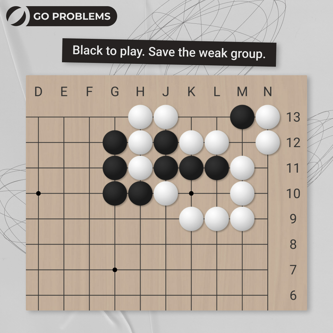 Go Magic tweet media