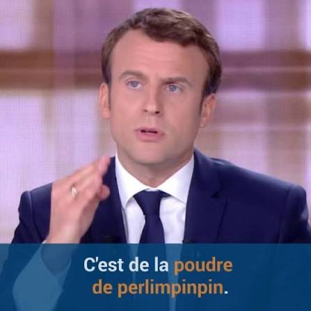 Pro Team tweet media