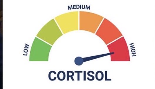 Kaelan Dorr tweet media