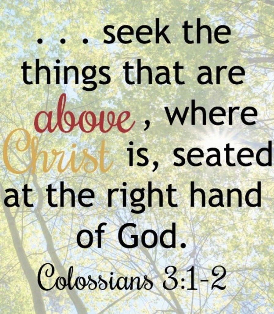 Charmaine tweet media