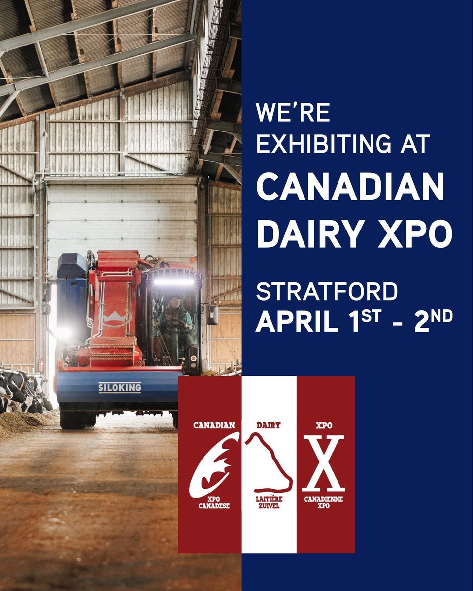 Siloking Canada tweet media