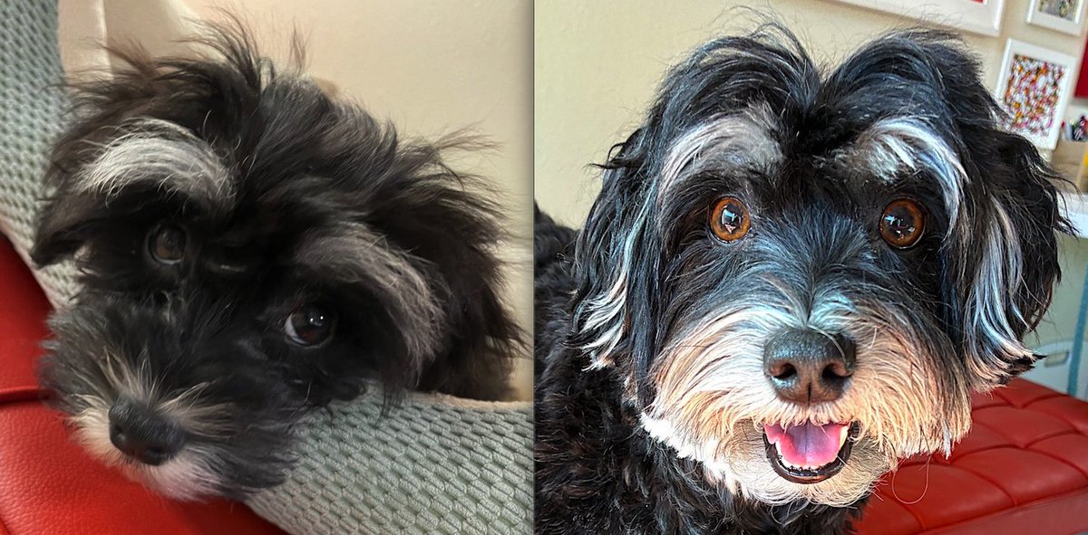 Jacky 🌞 tweet media