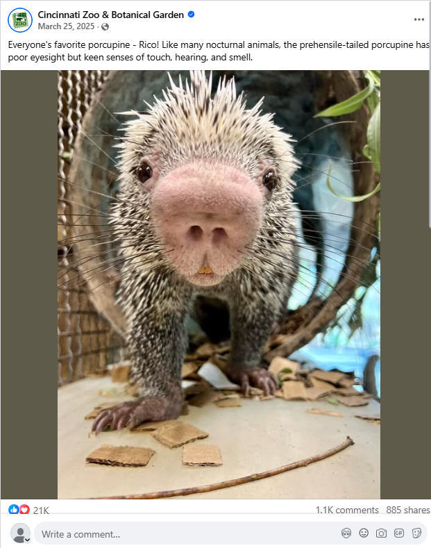 Tengen 💎 tweet media