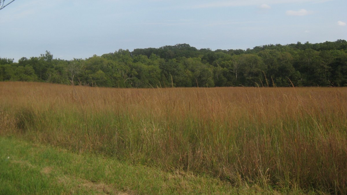 Ernst Seeds tweet media