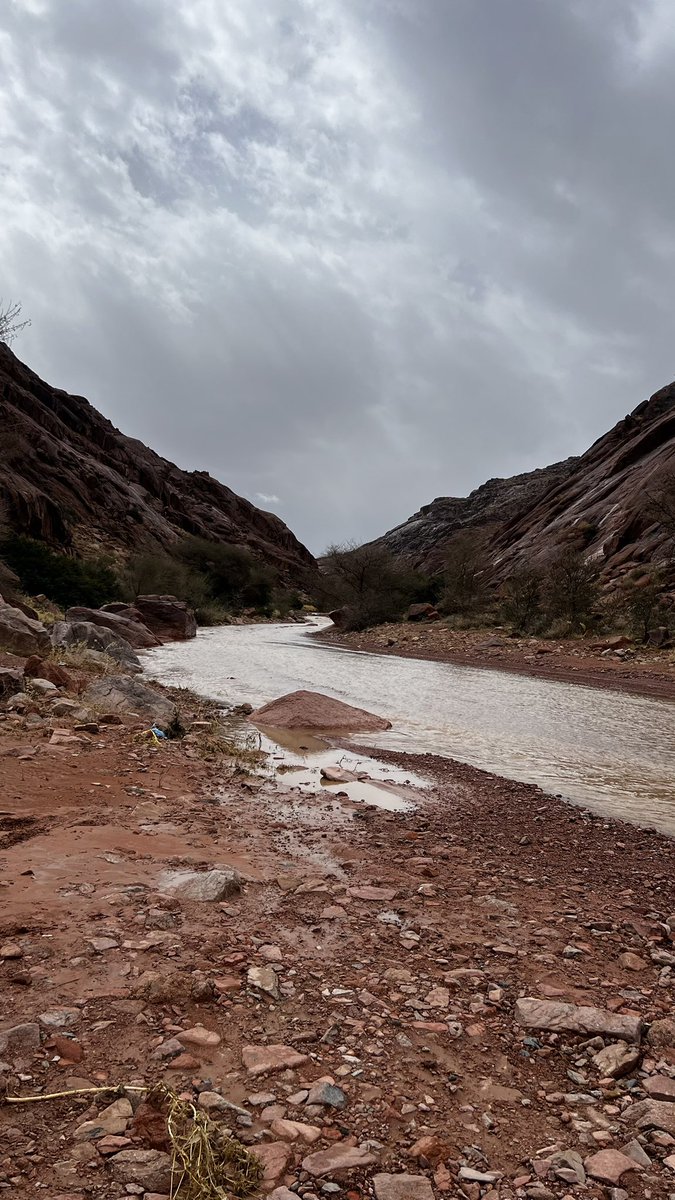 شمّر tweet media