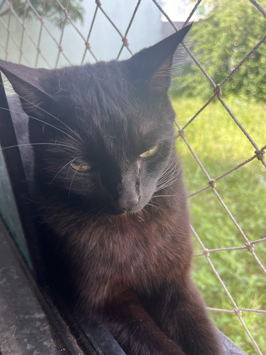 victor saw mcr 🚷 tweet media