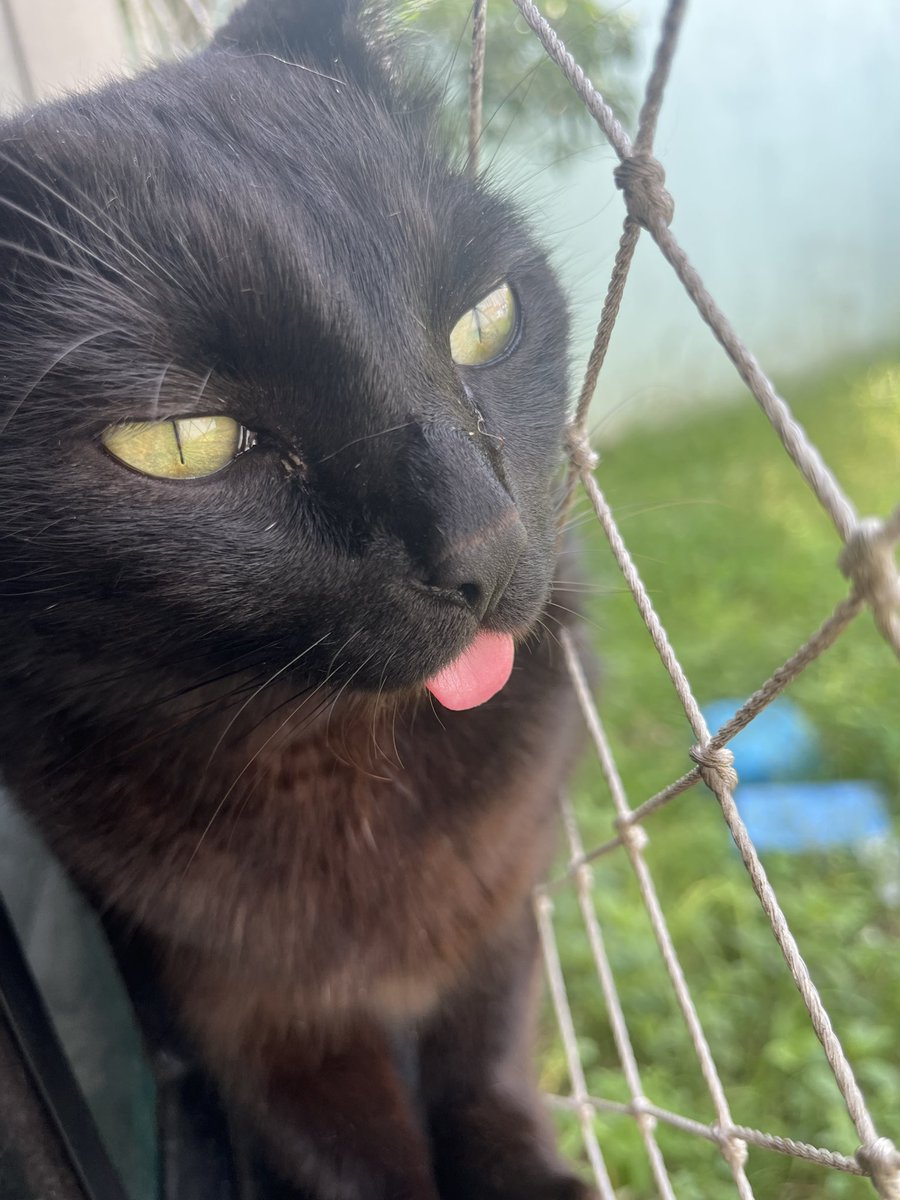 victor saw mcr 🚷 tweet media