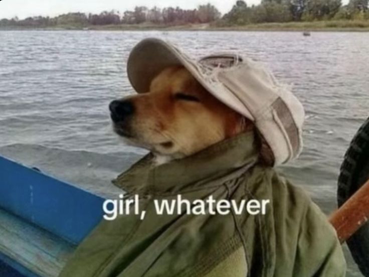 𝐀𝐧𝐧𝐚 ⁠༶⁠ ENHYPEN IS 7 tweet media