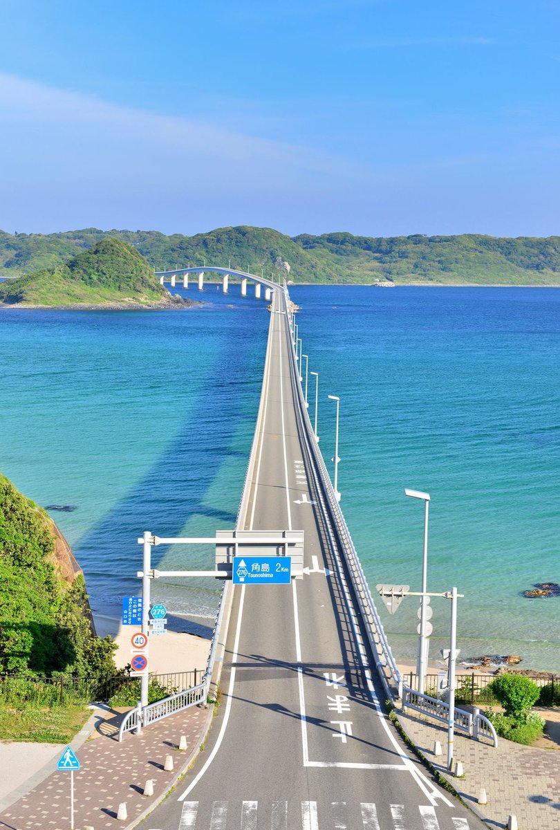 大野 蓮弥 tweet media