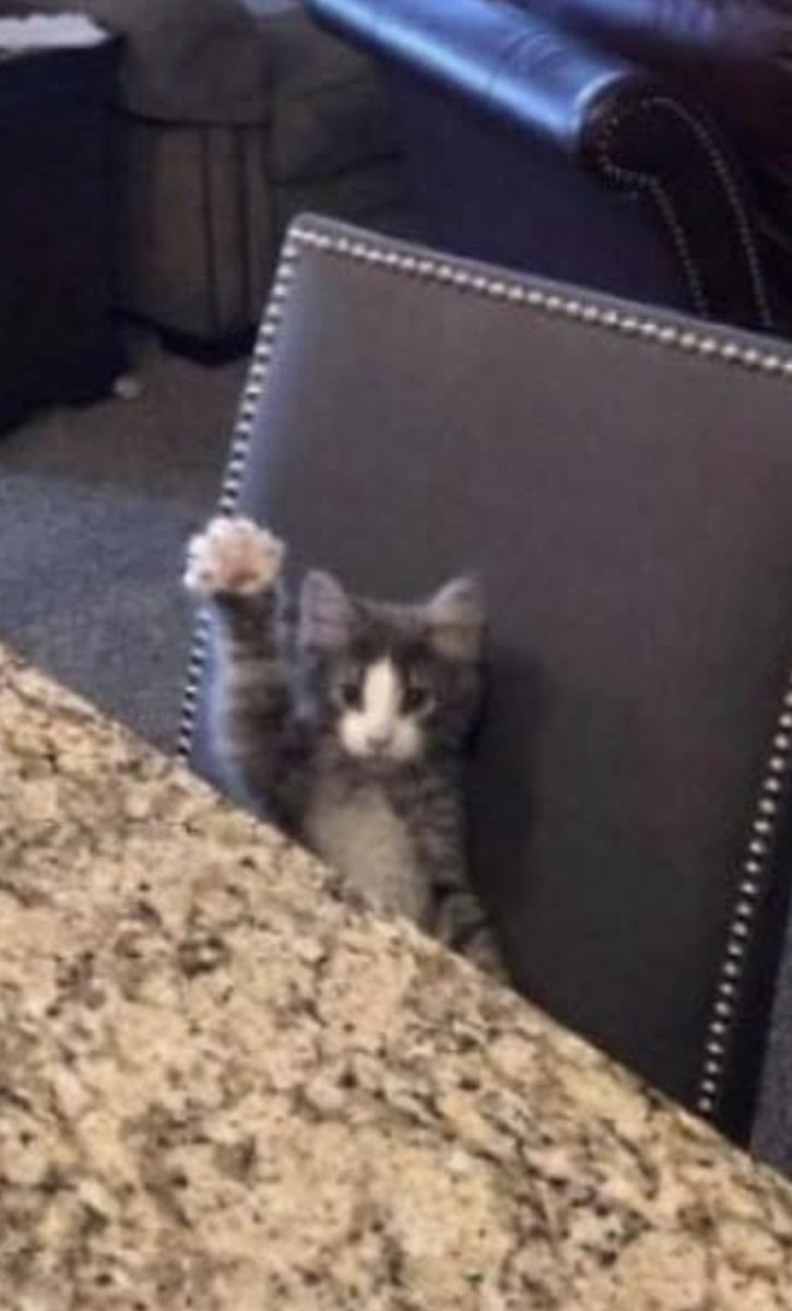 Dennis Bowers tweet media