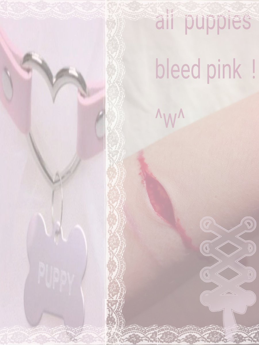 merridew 𝜗ৎ shedtwt tweet media