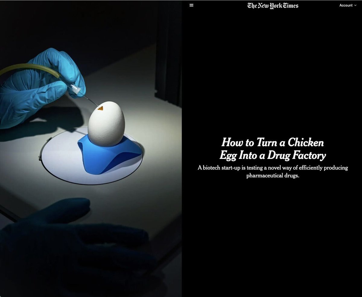 Packy McCormick tweet media