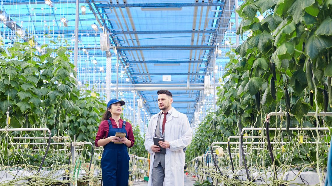 EngRealm's tweet photo. Engineering Modern Agriculture for a Changing Climate

Read More:https://t.co/gGnJj6yMFV

#Engineeringrealm #ModernAgriculture #AgricultureEngineering https://t.co/ZtA89Cv8MJ