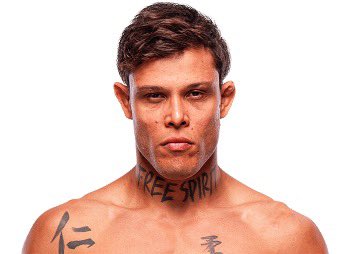 Blind Bear 🐻🕶️ tweet media