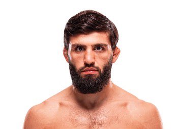 Blind Bear 🐻🕶️ tweet media