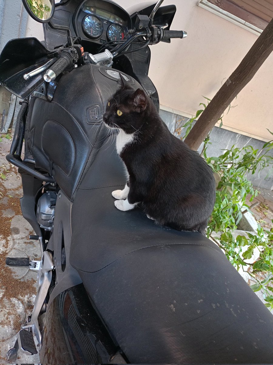 Κά.....ς Σπύρος🇬🇷🇬🇷 tweet media