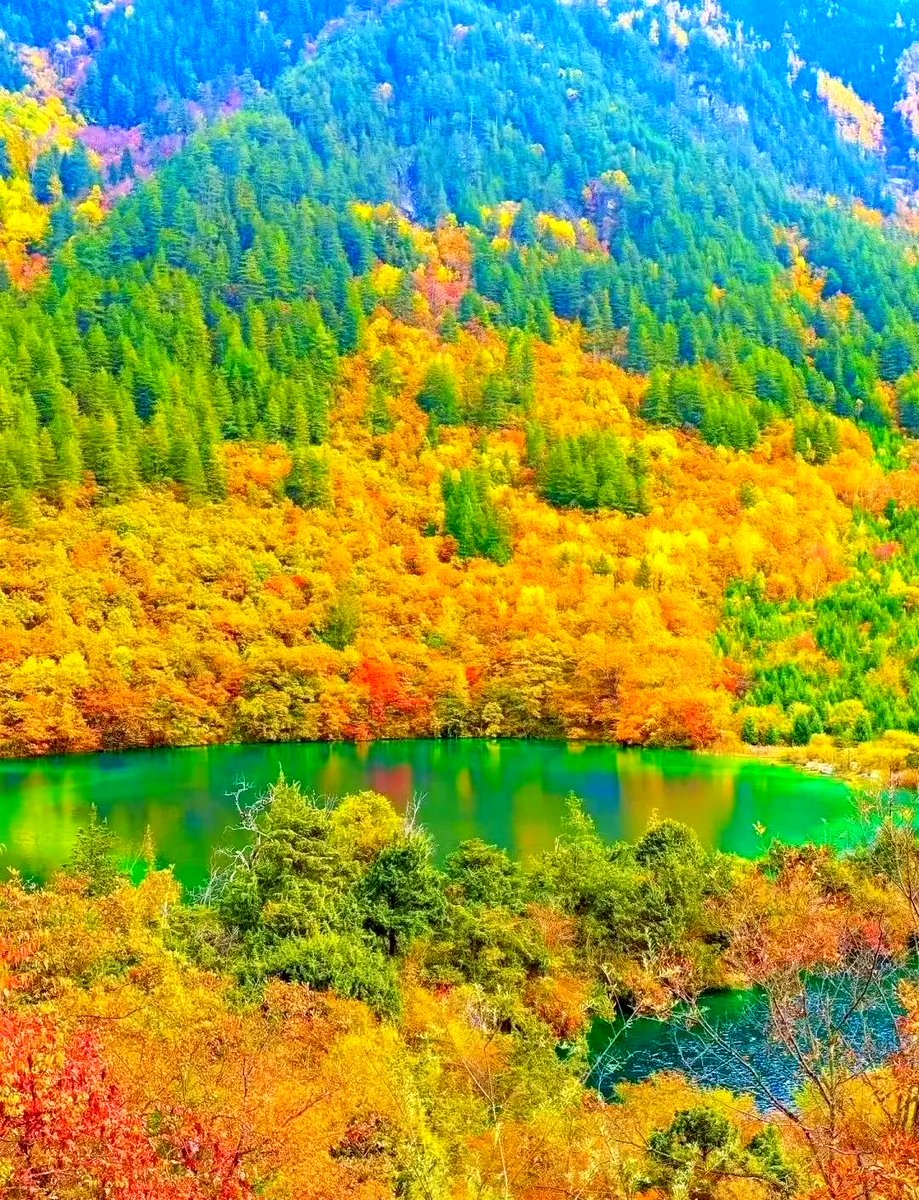 andrea massi tweet media