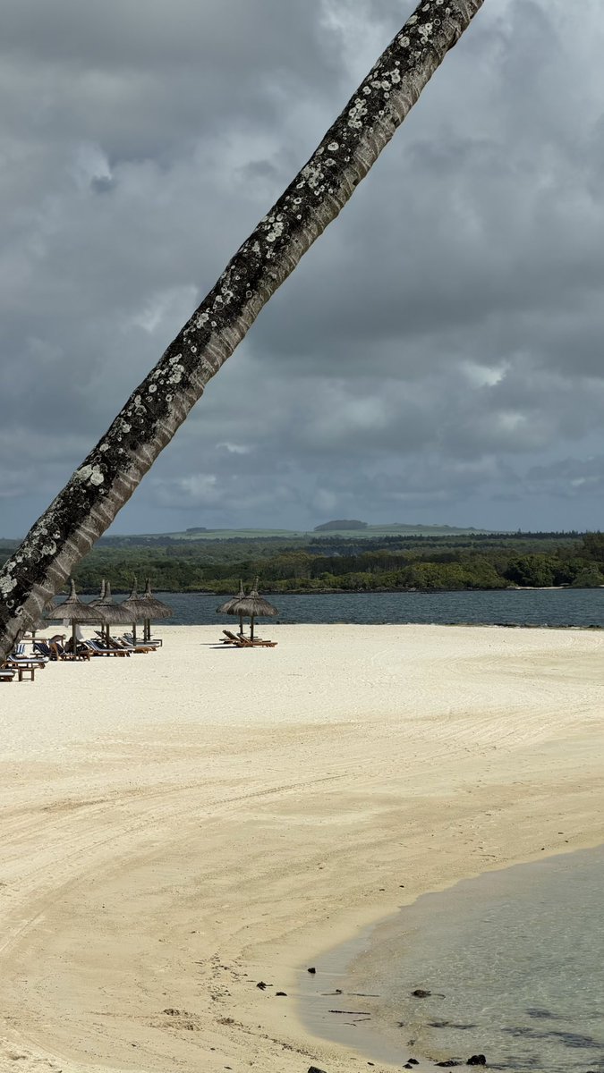 cherrrotich's tweet image. 🇲🇺 île Maurice, its been such a delight. 🏝️🌊
#Mauritius