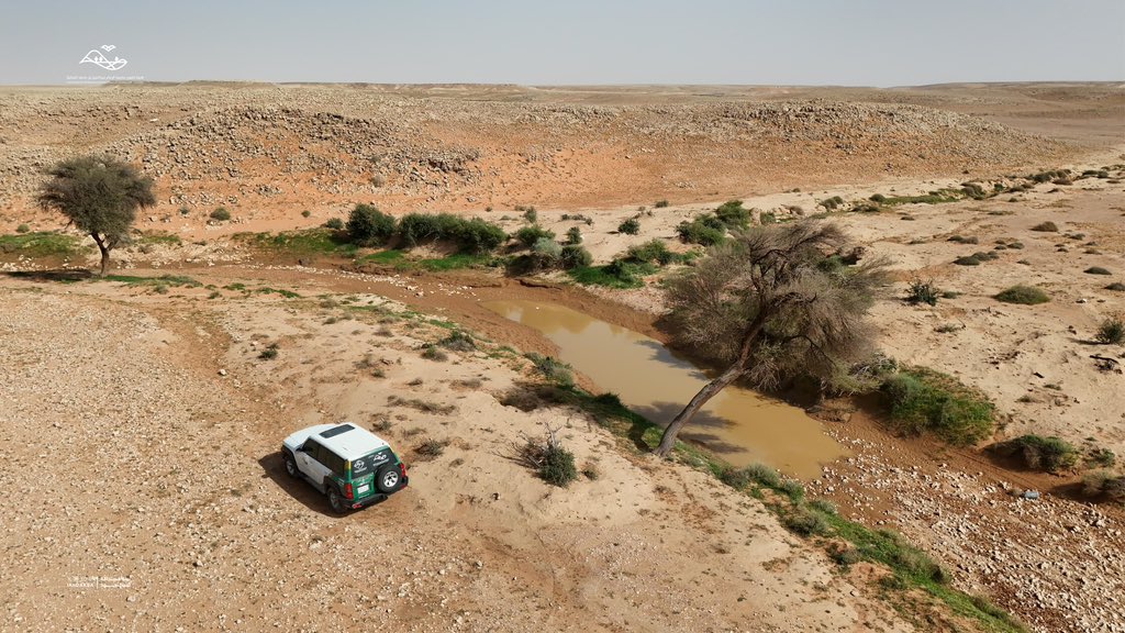 هيئة تطوير محمية الإمام عبدالعزيز بن محمد الملكية tweet media