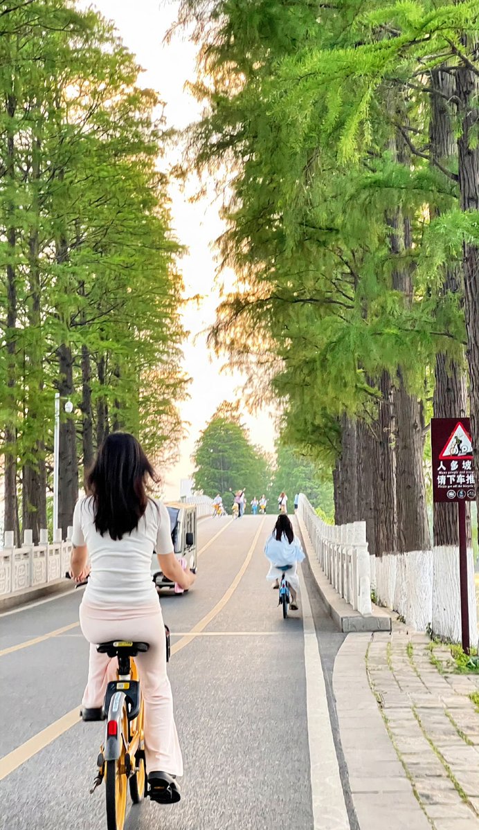 marcinzoled85 tweet media