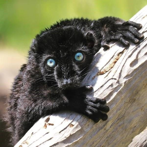 𝖕𝖚𝖓𝖎𝖘𝖍𝖊𝖉 𝖘𝖑𝖎𝖒𝖊 🩸 tweet media