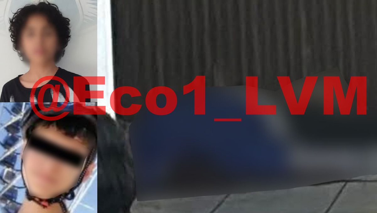 Eco_1_LVM tweet media