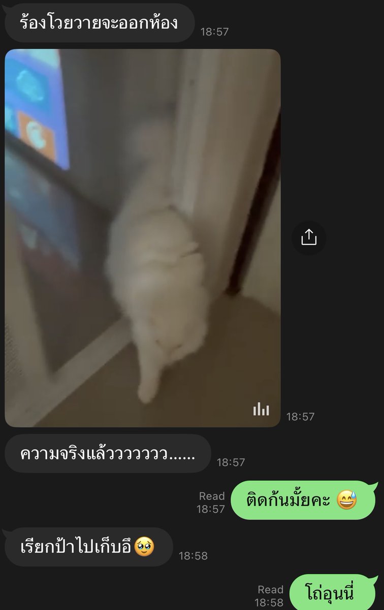 นีนี่ฮุนฮุนเป็นน้องพี่หมี🐻🐱 tweet media